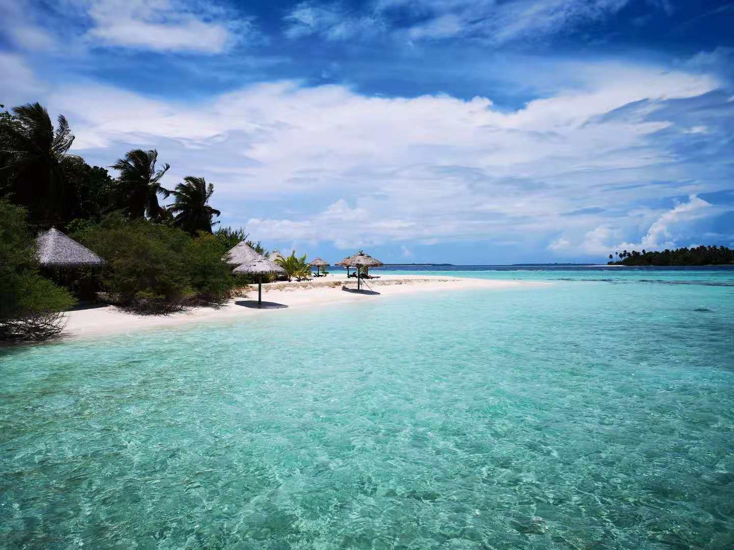 度蜜月去马尔代夫怎么选,度蜜月哪也不去可以干什么