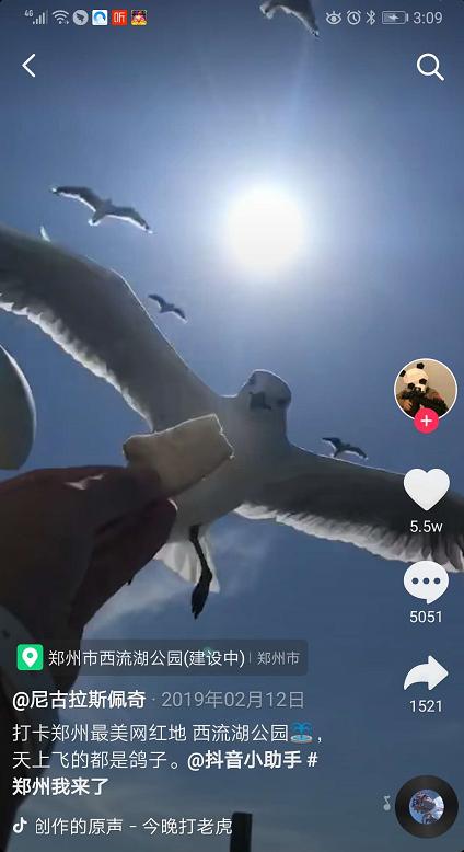 郑州大商城网红打卡,郑州北龙湖网红打卡圣地