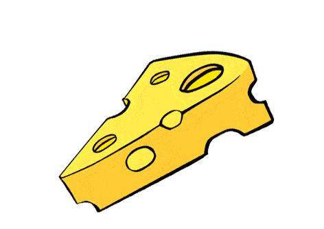 入门级芝士推荐,用正确的姿势涨芝士