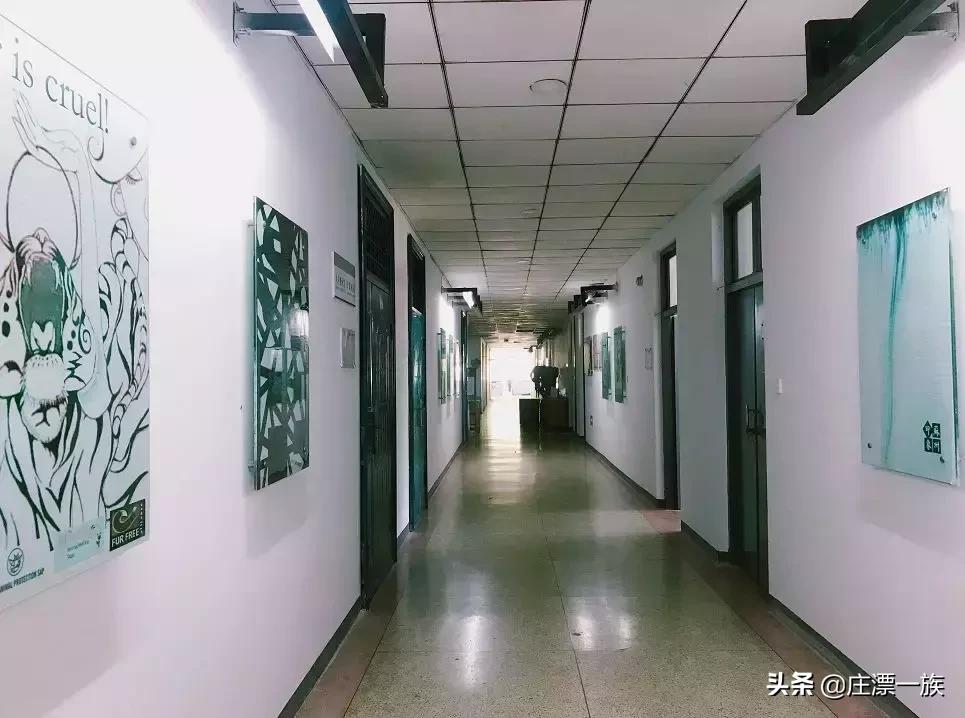 朝气蓬勃的石家庄学院来了,请多多指教