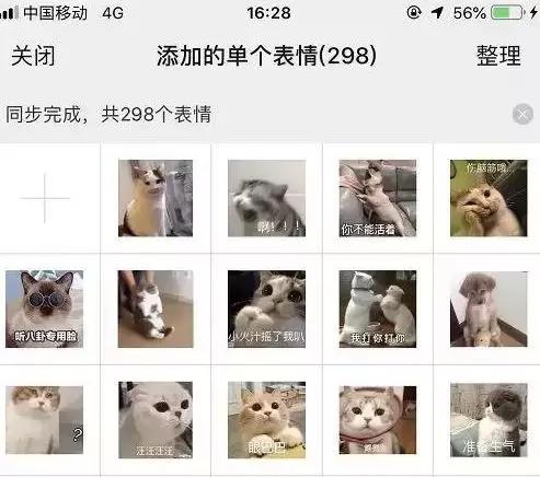 听猫打呼噜的网站,能听到你打呼噜的软件