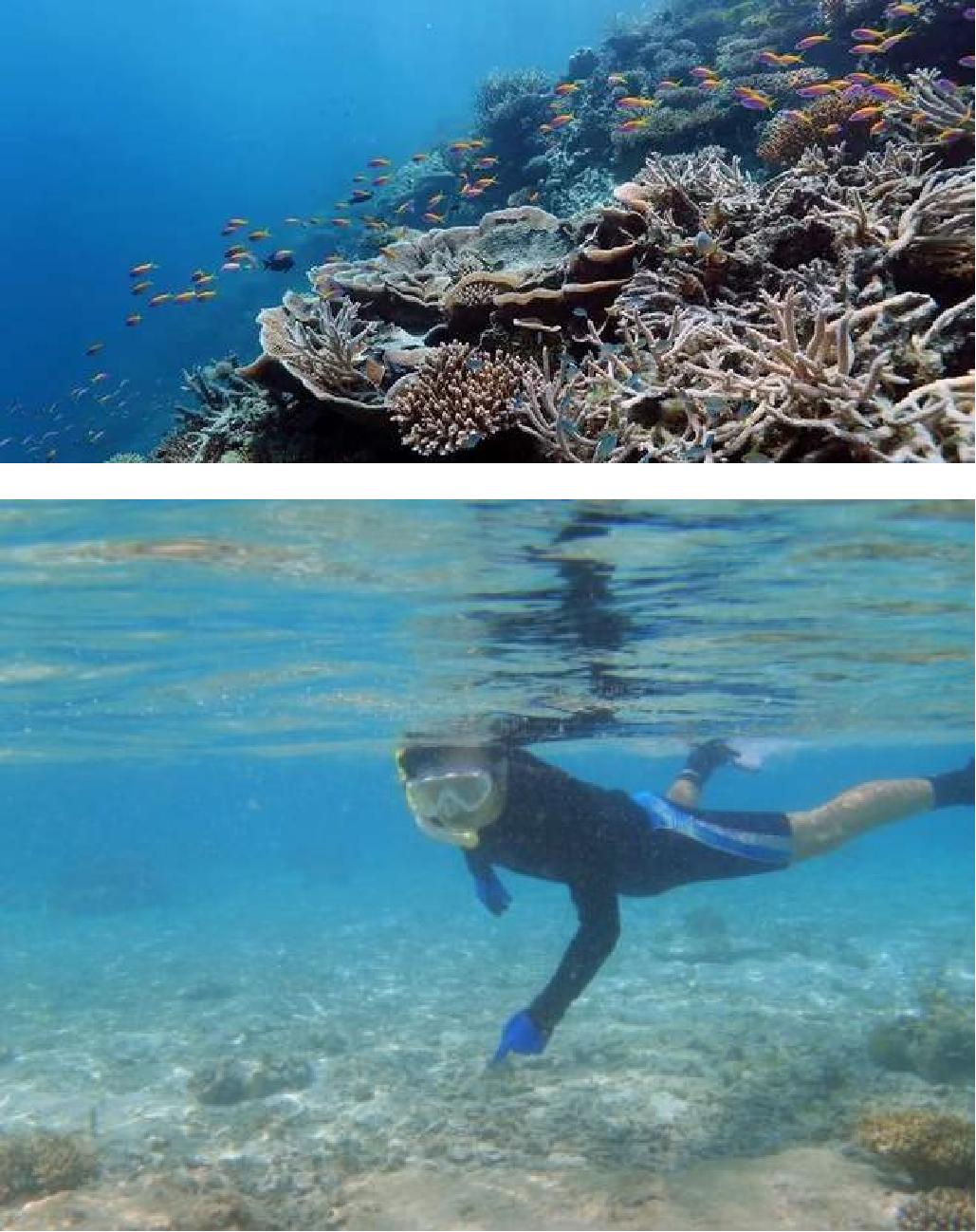 马尔代夫旅游选岛技巧,马尔代夫如何避坑