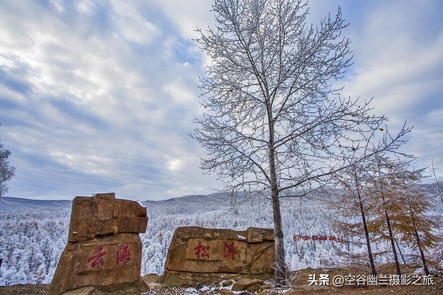 在莫尔道嘎,我遇见了最美的秋雪