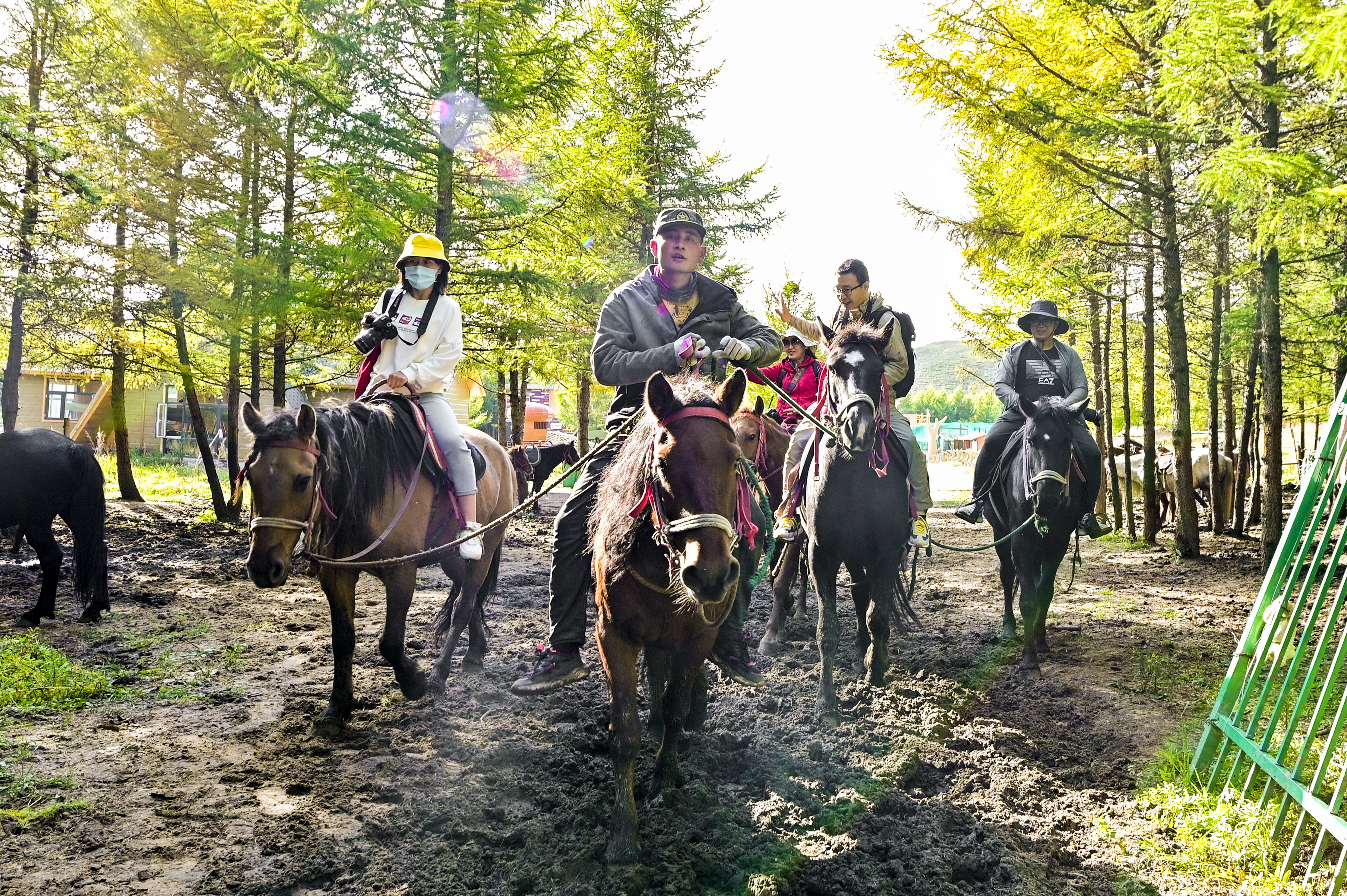 丰宁神仙谷七彩森林景区地图,丰宁坝上七彩森林游玩攻略