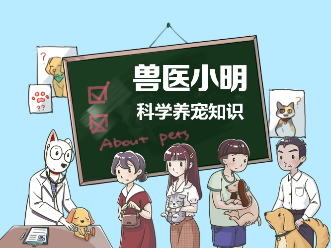 狗狗突然呕吐呕血怎么回事,狗狗突然呕吐大便有血丝