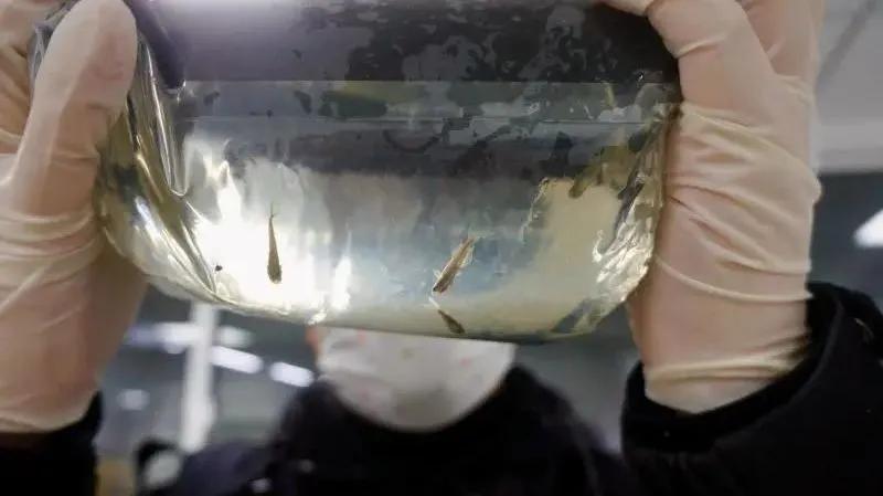 每天收到陌生人转账自己能花吗,不要轻易向陌生人转账后面是什么