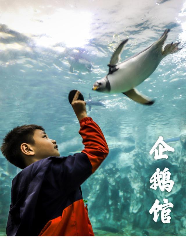 珠海亲子游必玩景点,珠海一日游适合带孩子玩的景点