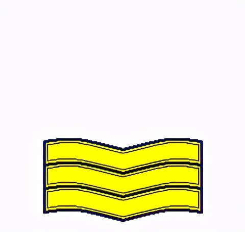 民国国军军装军衔标识,马来西亚军队军衔图集