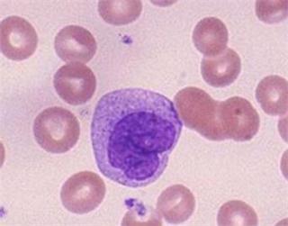 人外周血中各种血细胞成分密度,人外周血细胞计数