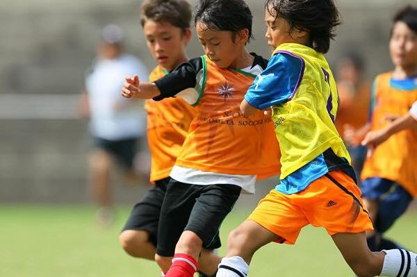 值得借鉴的日本青训模式！金字塔淘汰+*轨双**制，国足要如何追赶