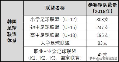 中日韩足球青训对比,日本青训对比韩国青训