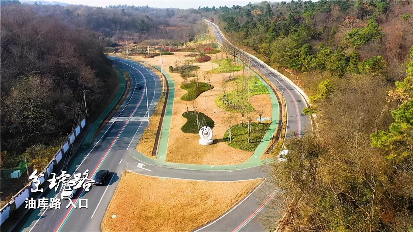 藏不住了这片樱花林免门票免预约,藏不住的傅先生