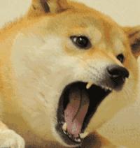 大家好,我是渣渣辉!今天教大家拼音的标准发音和练习技巧...