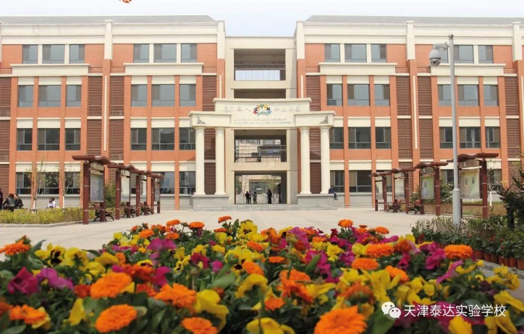 泰达实验中学,泰达实验学校活动