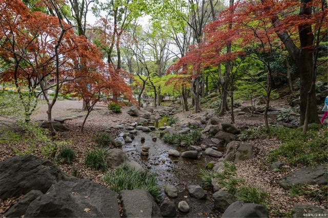 日语优美的词,日语意境好的词语