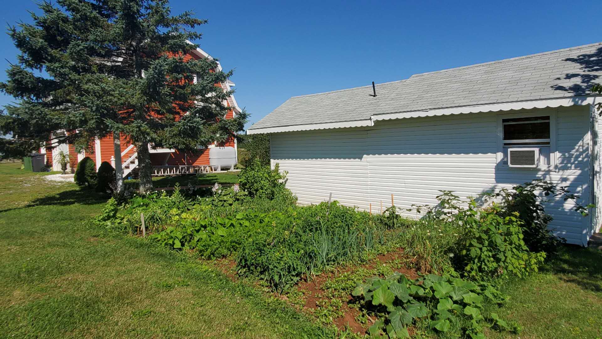 加拿大地图爱德华王子岛,加拿大的爱德华王子岛