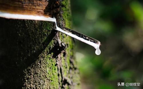 美佳美侬内衣测评,内衣第六代