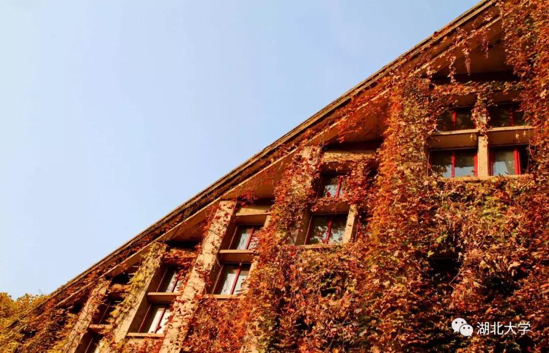 今天是你的生日，我的湖北大学！书记喊你回学校打卡