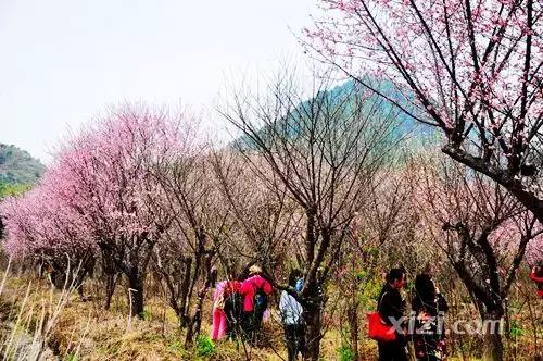 惠州龙门景区,中国天然氧吧惠州龙门
