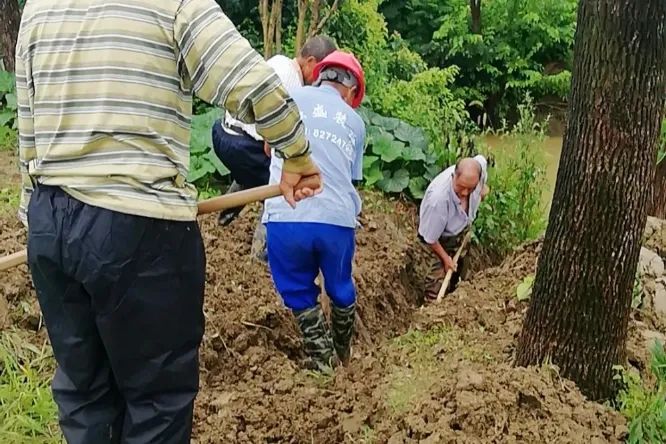 这种病毒传染性强需警惕,这次病毒为什么年轻人容易感染