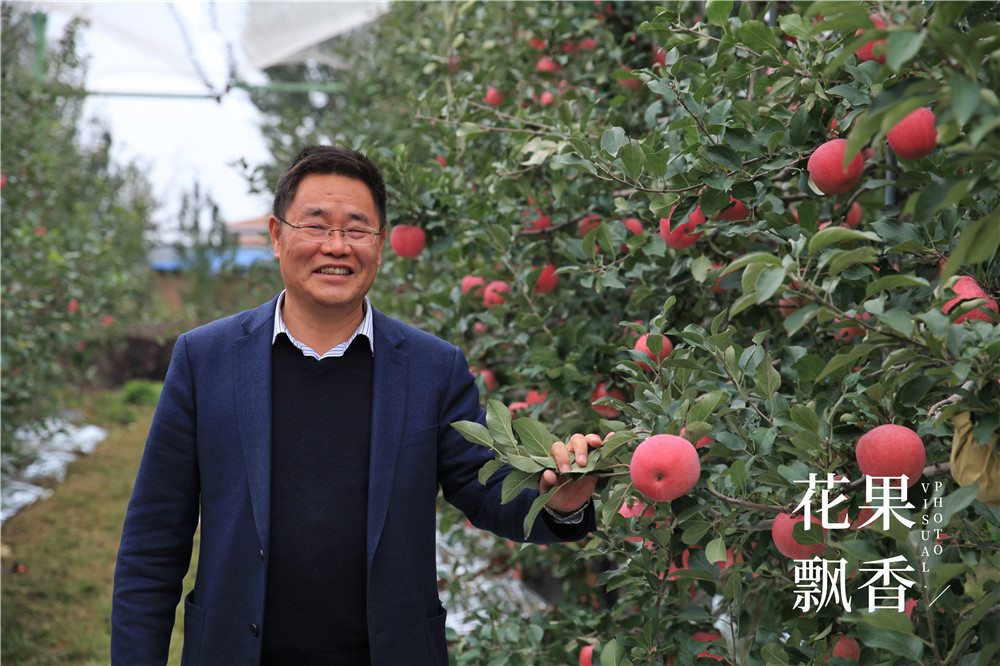 四大优势是哪些,四大优点是什么