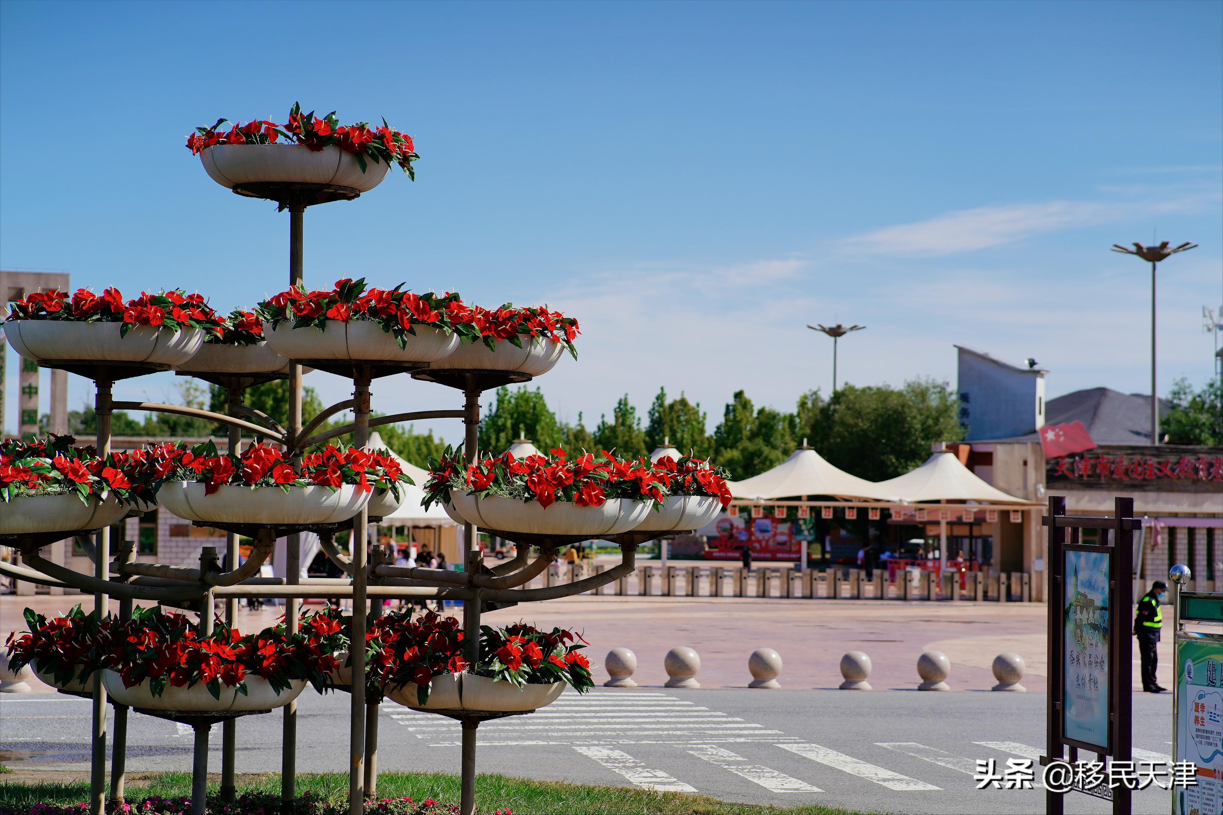 天津武清区最新买房政策,武清南湖房价下跌最惨一览表