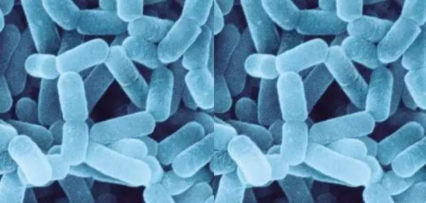 宝宝益生菌的正确食用方法吃几天,宝宝益生菌到底该怎么吃