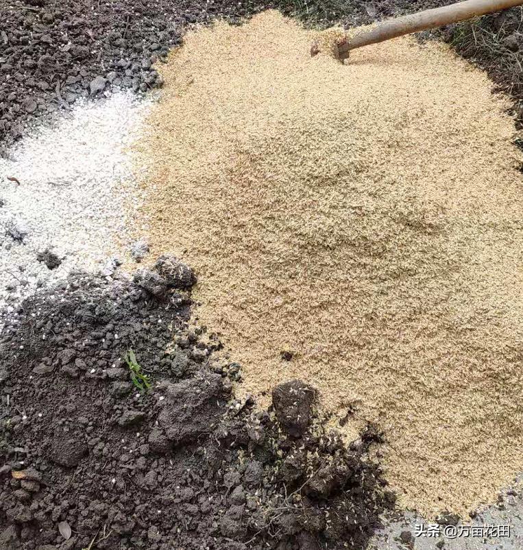 稻壳炭放在花土上面能防虫吗,稻壳炭和发酵稻壳什么区别