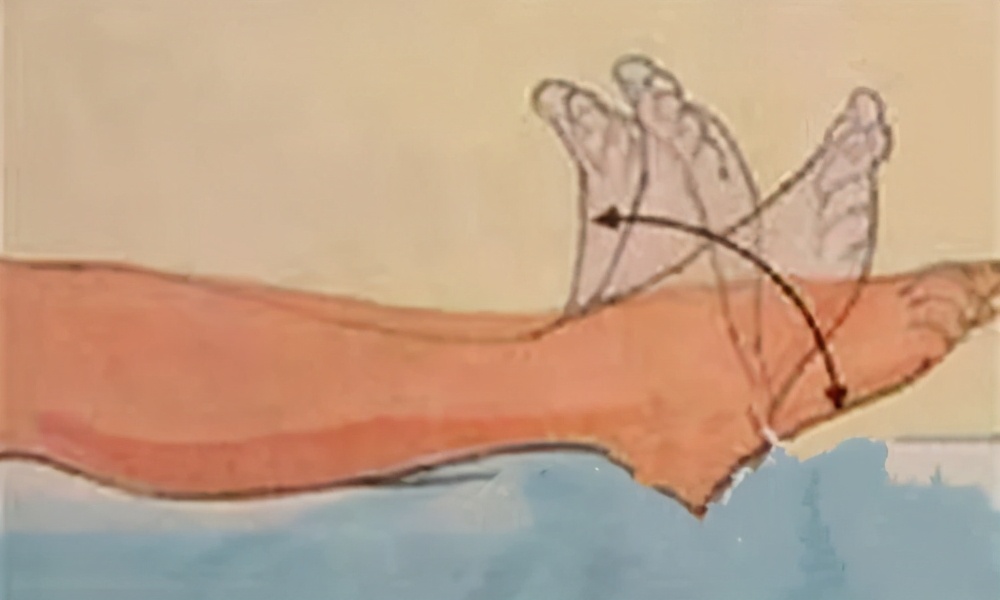 为什么乘坐飞机会引起静脉血栓,轻微血栓坐飞机