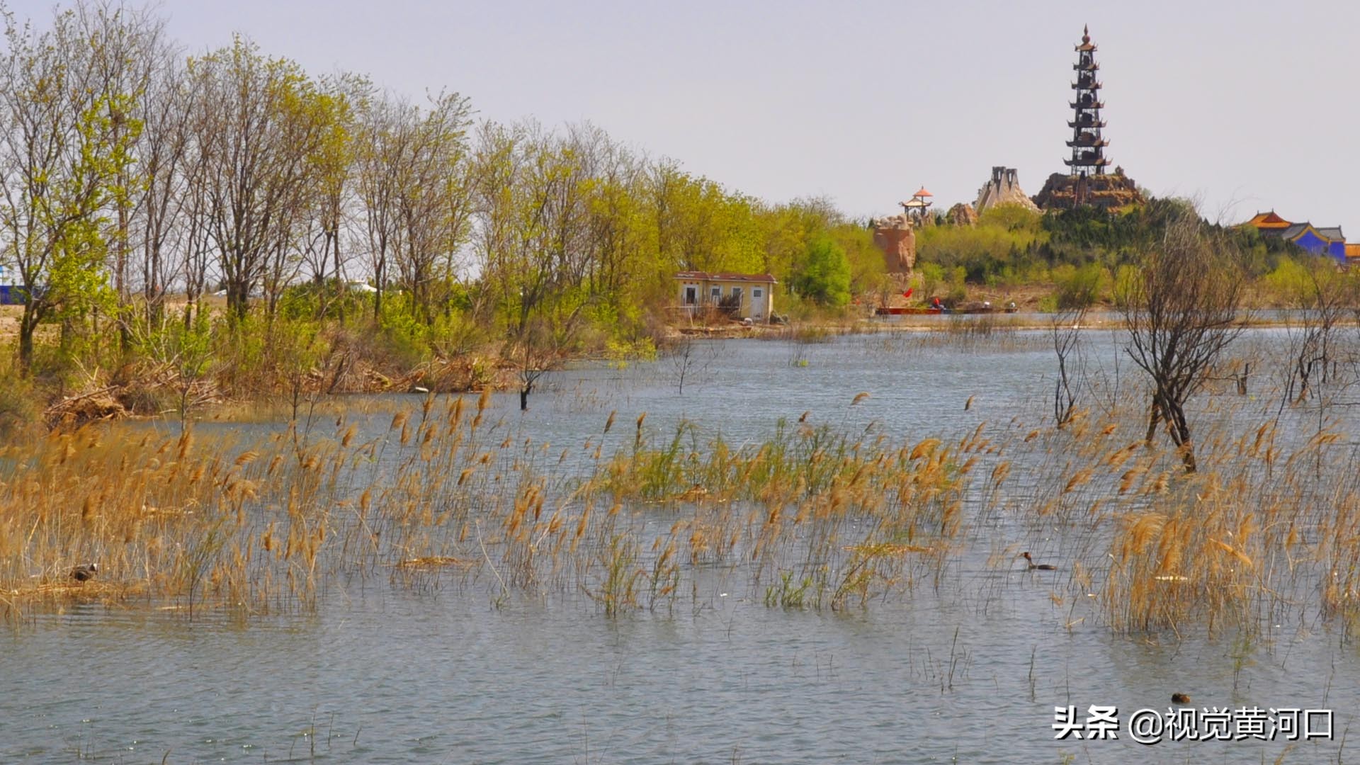 东营天鹅湖,值得期待的华丽转身