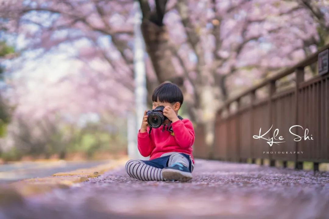 樱花季去日本价格高吗,樱花季去日本旅行