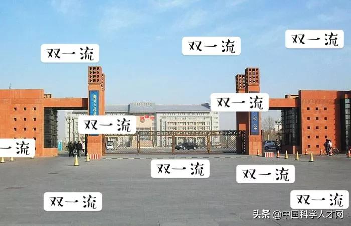 高校内部教师鄙视链,财经类高校内部鄙视链