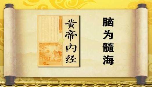 中医的肾和肾脏是一回事吗,中医说的肾和西医说的肾一样吗