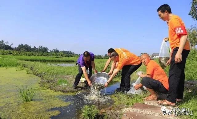 蒲江乡村风光,四川十大贫困县蒲江