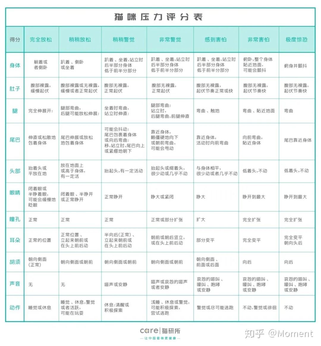 猫奴文化养猫真正该买的东西,养猫必备药品大全新手猫奴必看