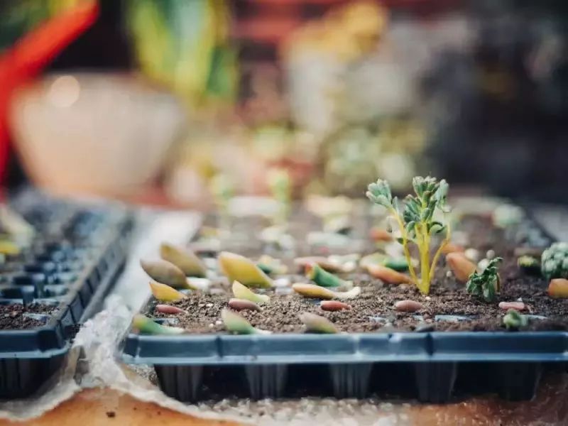 10000块能做点什么,10000块钱能做什么