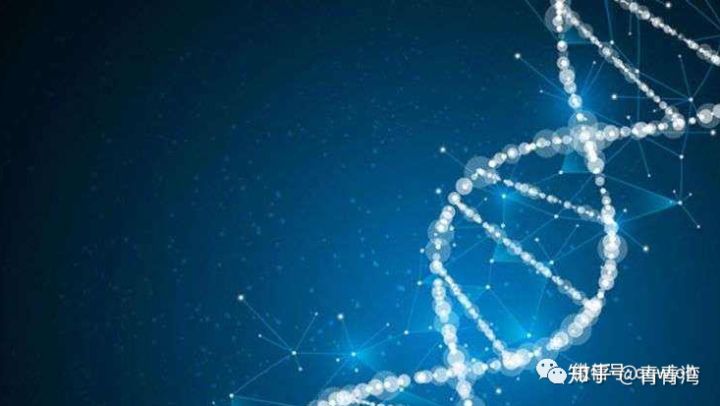 拜耳药企,拜耳制药2022秋招