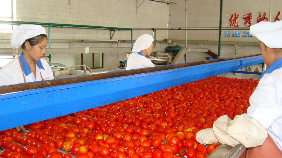 疆新,新疆番茄红素来了解一下