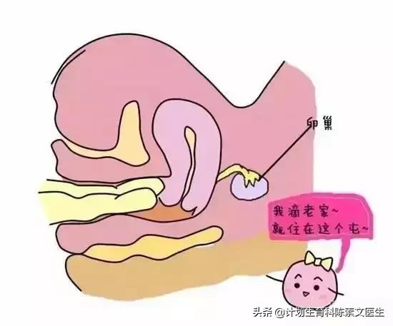 切口妊娠的孩子能要吗,怀孕多久可以查出切口妊娠