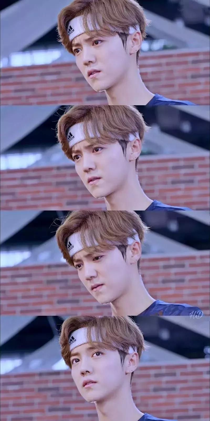 近期鹿晗热搜,鹿晗爱豆鸭