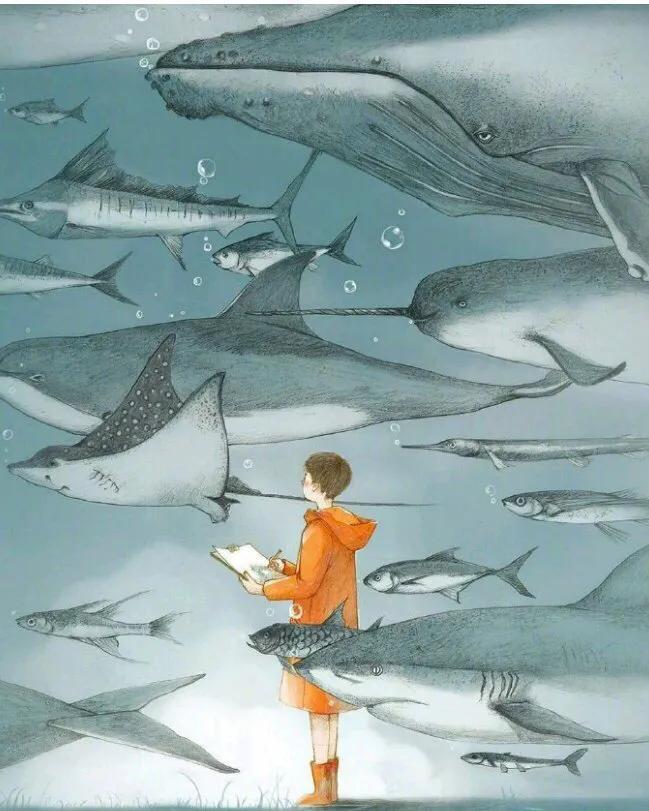 自考和统招本科哪个含金量高,自考本科跟统招本科有什么区别