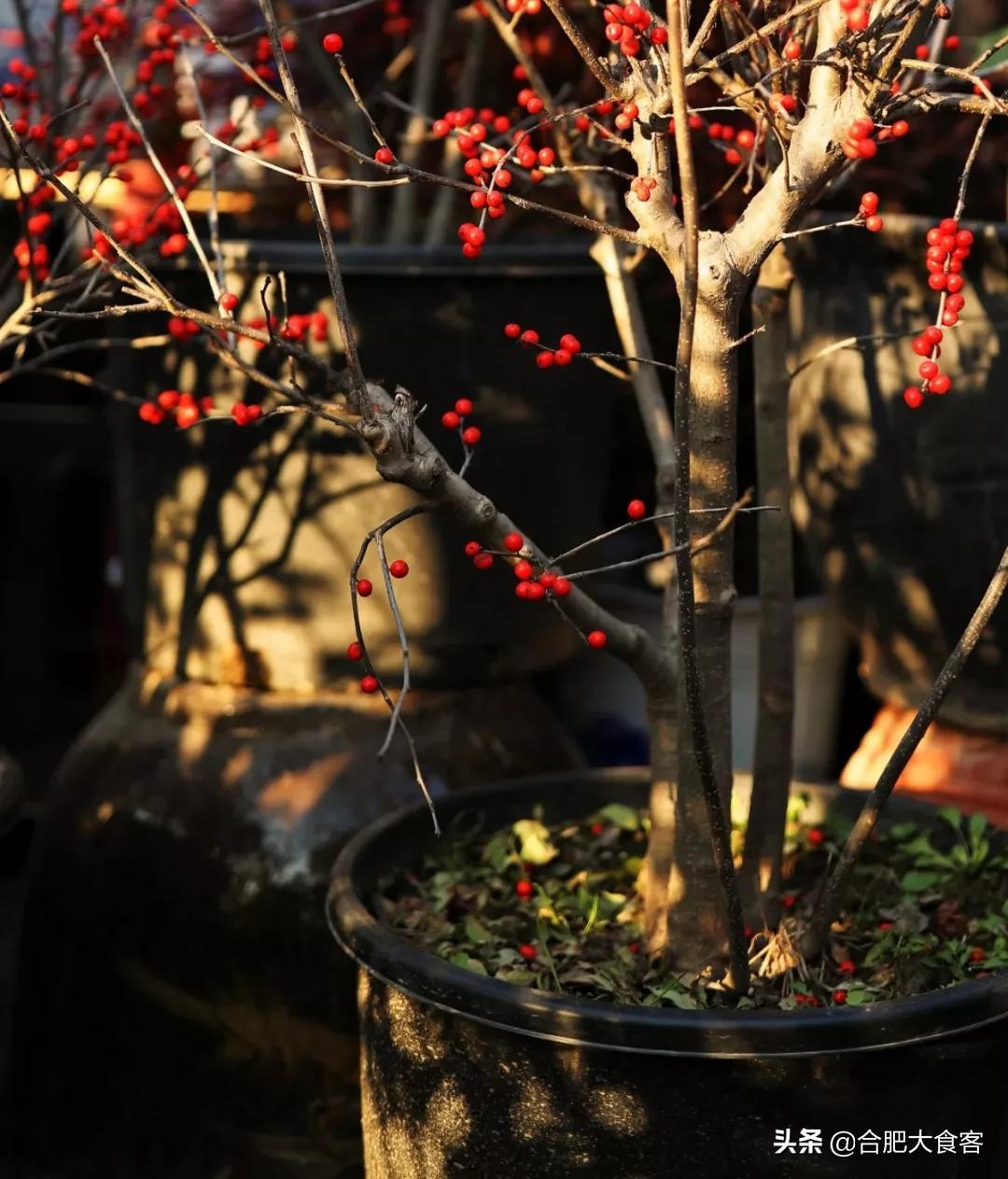 <html>
<head><title>502BadGateway</title></head>
<body>
<center><h1>502BadGateway</h1></center>
<hr><center>nginx</center>
</body>
</html>
<!--apaddingtodisableMSIEandChromefriendlyerrorpage-->
<!--apaddingtodisableMSIEandChromefriendlyerrorpage-->
<!--apaddingtodisableMSIEandChromefriendlyerrorpage-->
<!--apaddingtodisableMSIEandChromefriendlyerrorpage-->
<!--apaddingtodisableMSIEandChromefriendlyerrorpage-->
<!--apaddingtodisableMSIEandChromefriendlyerrorpage-->
