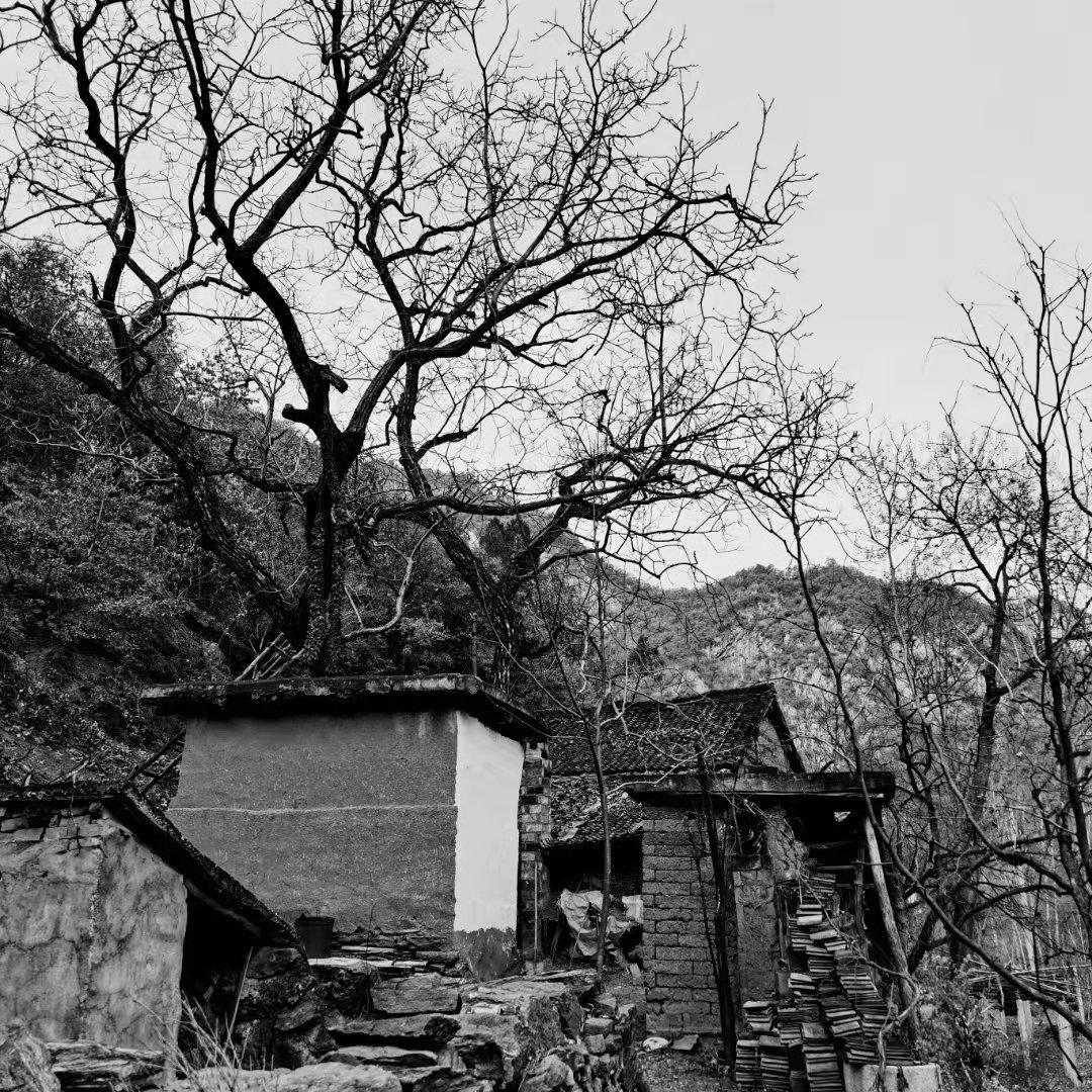 伏牛笔耕苑第214期2021.3.6