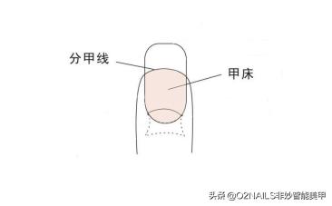 o2nails教程,指甲护理新手入门教程