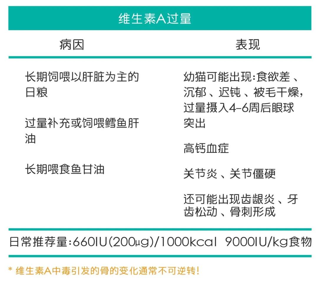 补维生素b猫咪不容易得猫癣,食补补充猫咪的营养