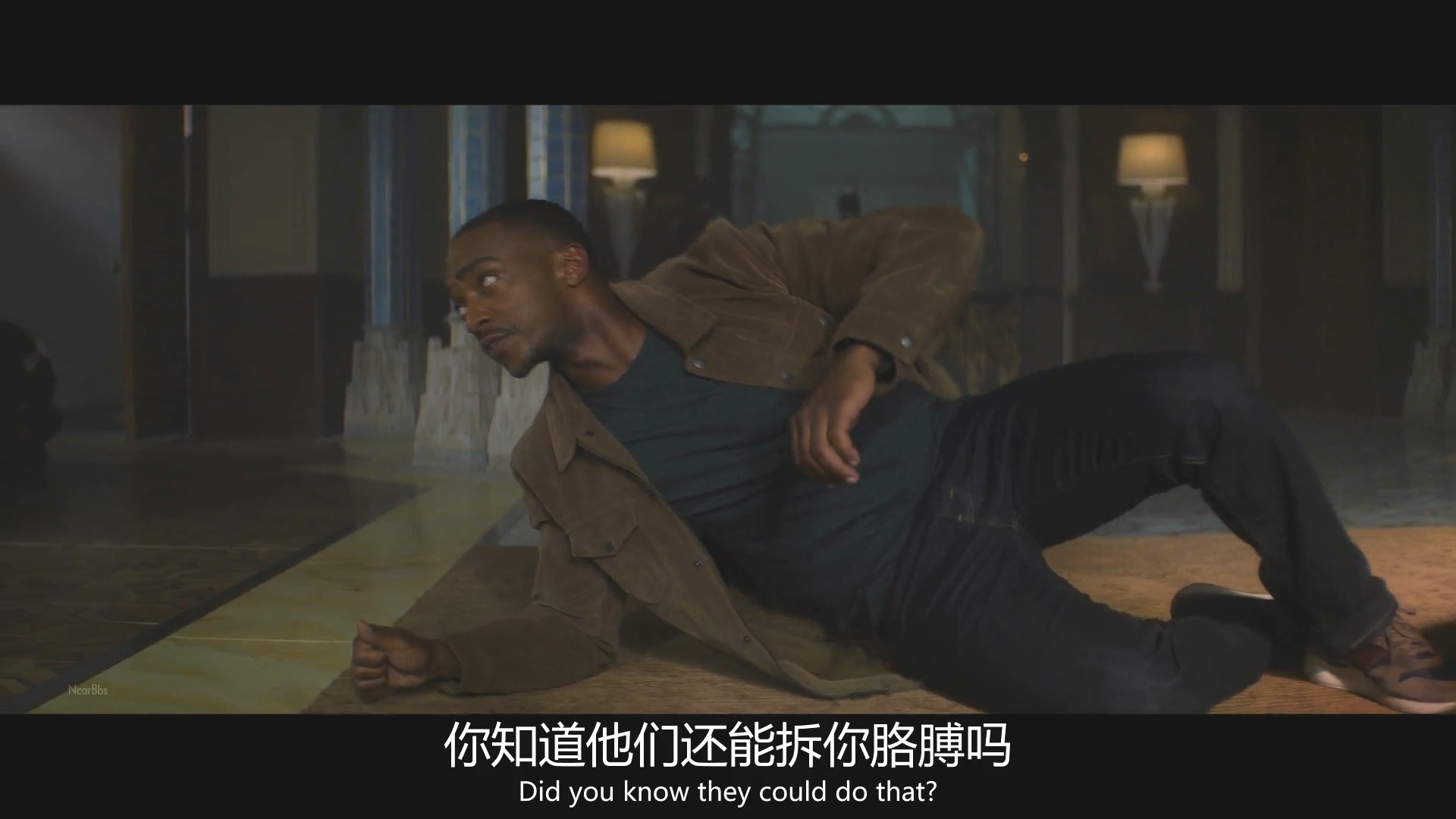 朵拉护卫队名场面,朵拉护卫队高燃