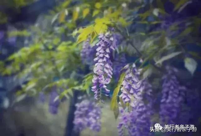 北京春天爬山好去处推荐孩子,北京周边适合带孩子爬山的地方