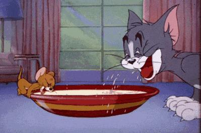 舒化牛奶猫可以喝吗,人喝的牛奶猫能喝吗