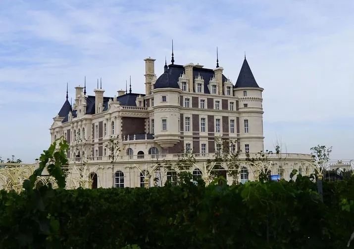 在*疆新**，谁才是“果界一哥”？