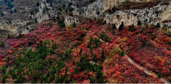 石家庄十一周边自驾游攻略,十一石家庄到胡杨林自驾游攻略